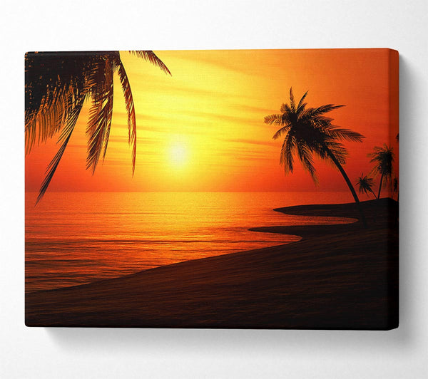  A Canvas Print of Sun Glow Canvas Art