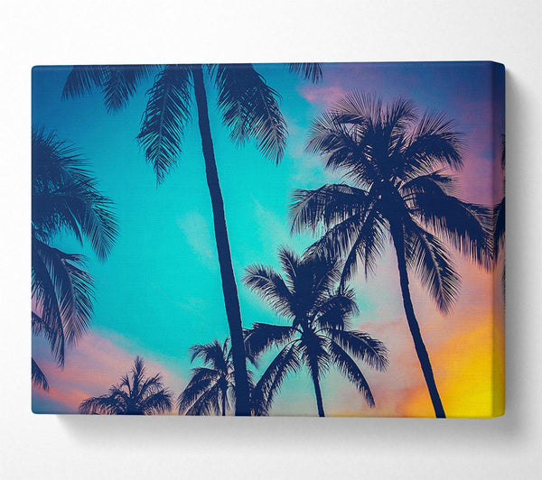  A Canvas Print of Perfect Skies Canvas Art