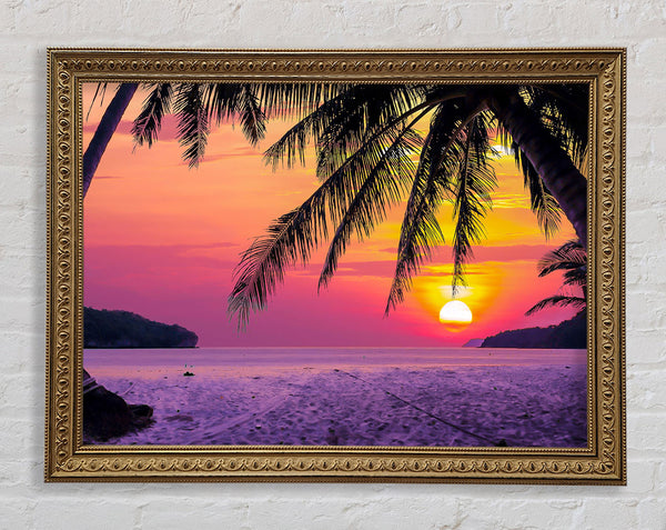 Between The Palm Trees Framed Print