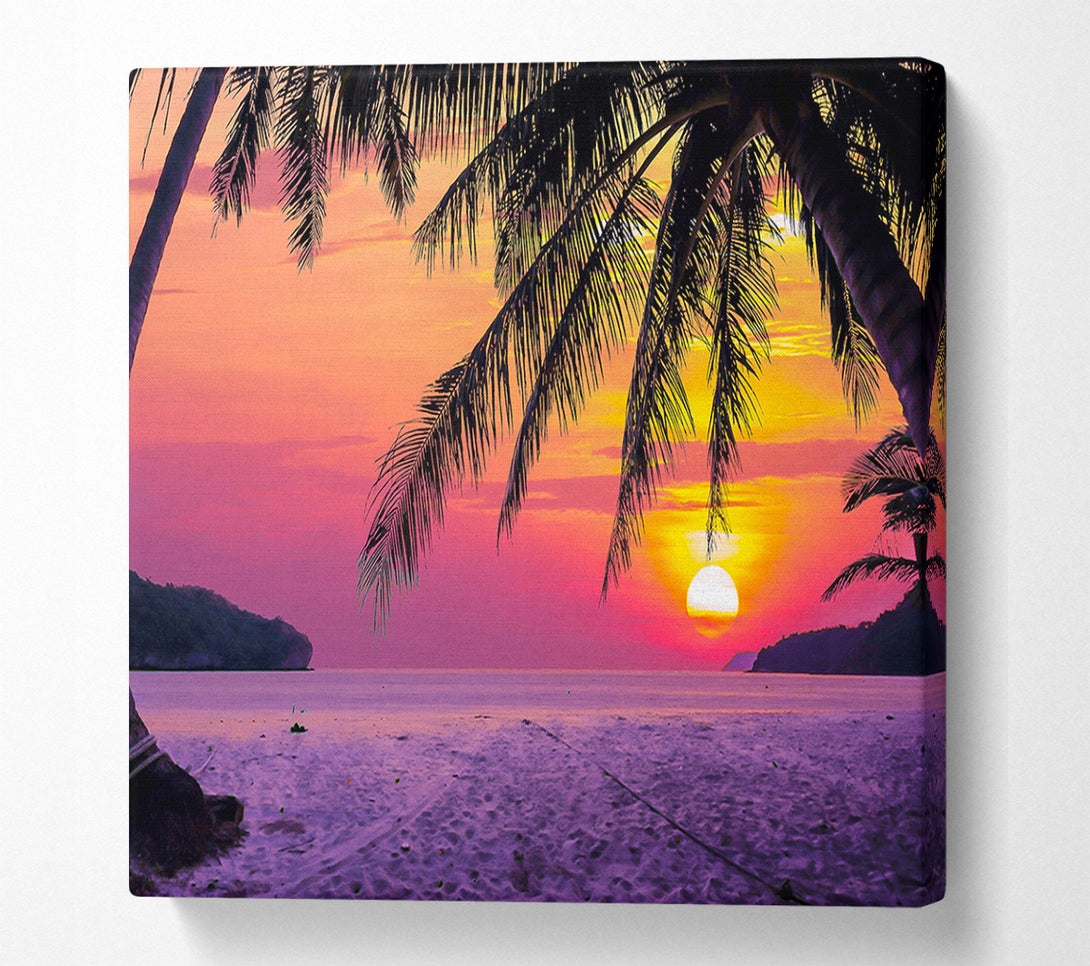  A Canvas Print of Between The Palm Trees Canvas Print