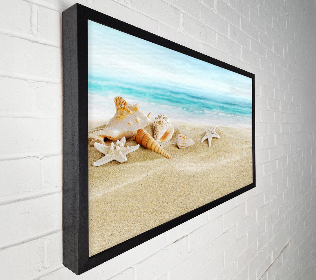  A Canvas Print of Beautiful Ocean Shells Canvas Art