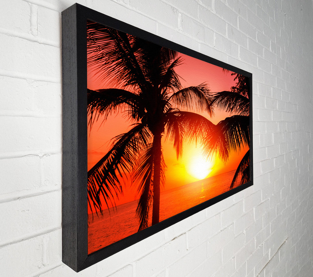  A Canvas Print of Sun Between The Palm Trees Canvas Art