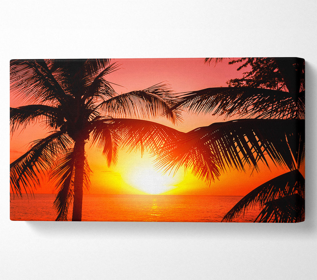  A Canvas Print of Sun Between The Palm Trees Canvas Art