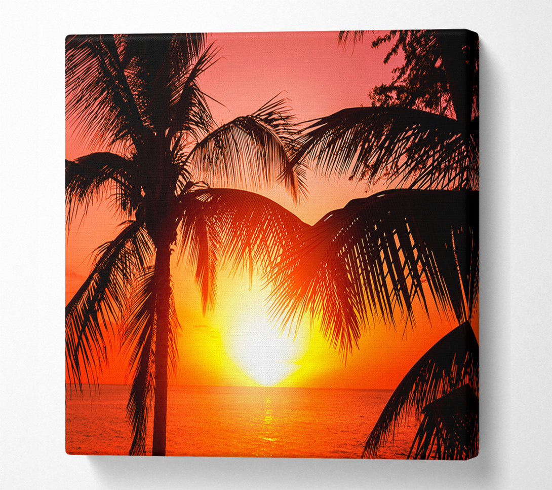  A Canvas Print of Sun Between The Palm Trees Canvas Art