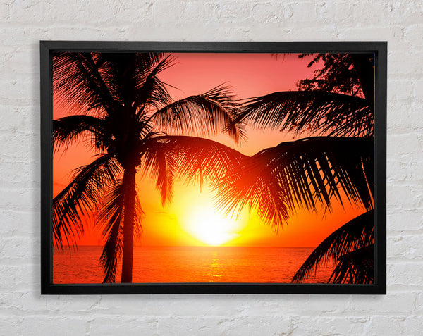 Sun Between The Palm Trees Framed Print