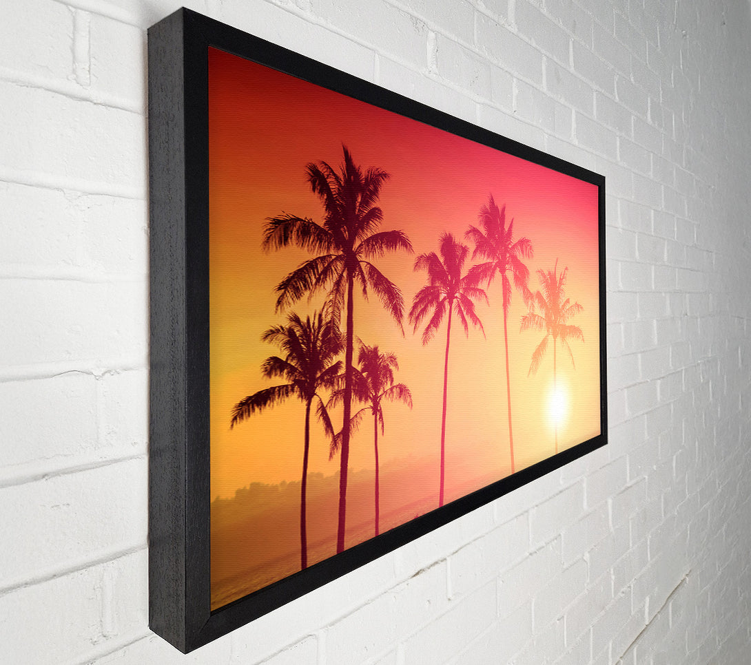  A Canvas Print of Palm Tree Haze Canvas Art