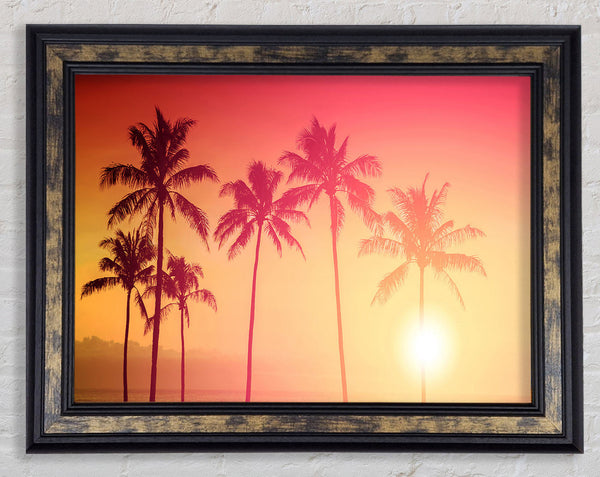 Palm Tree Haze Framed Print