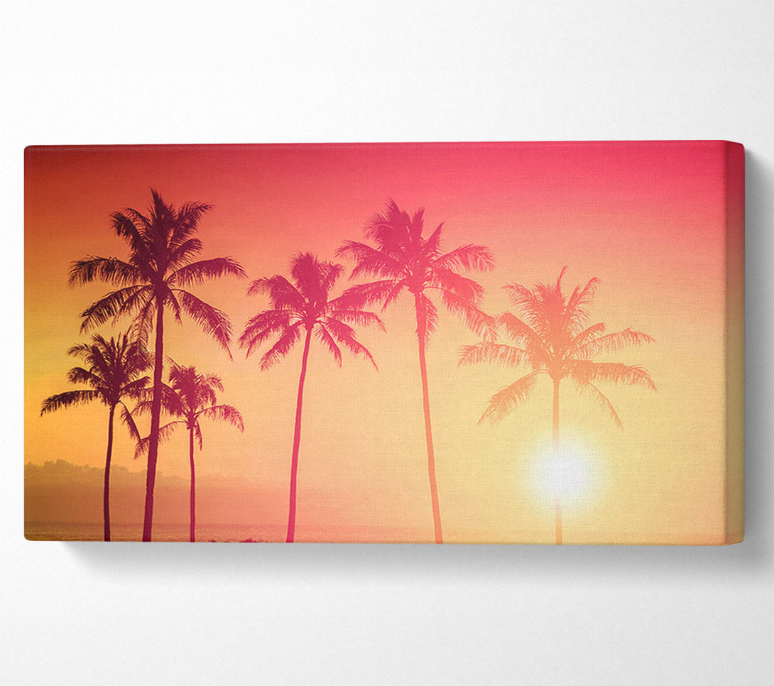  A Canvas Print of Palm Tree Haze Canvas Art
