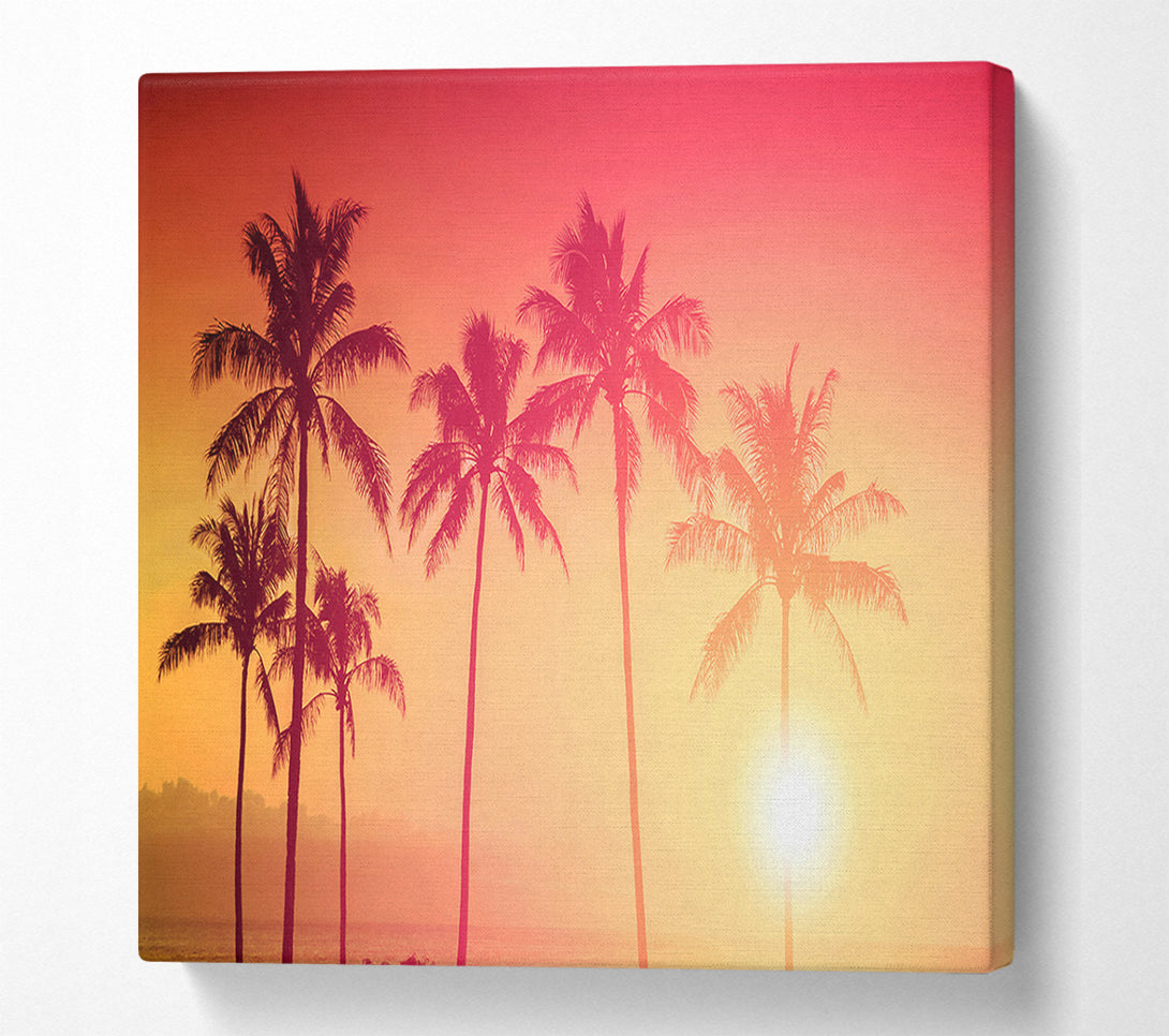  A Canvas Print of Palm Tree Haze Canvas Art