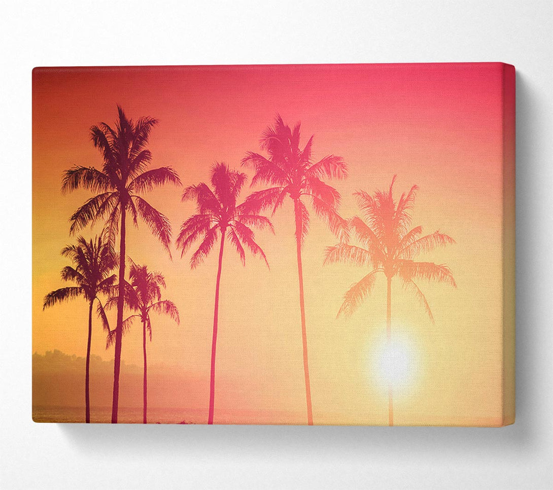  A Canvas Print of Palm Tree Haze Canvas Art
