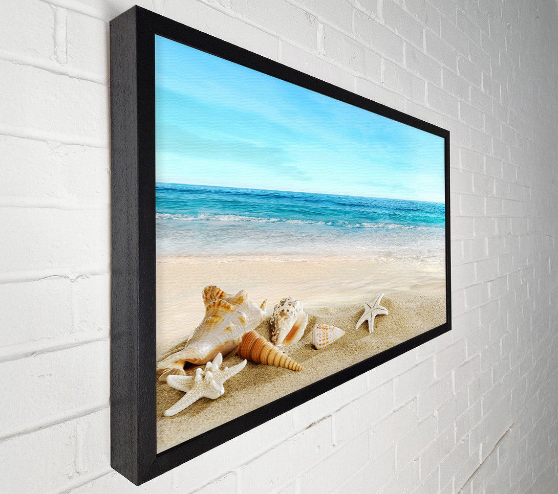 A Canvas Print of Ocean Shells Canvas Wall Art