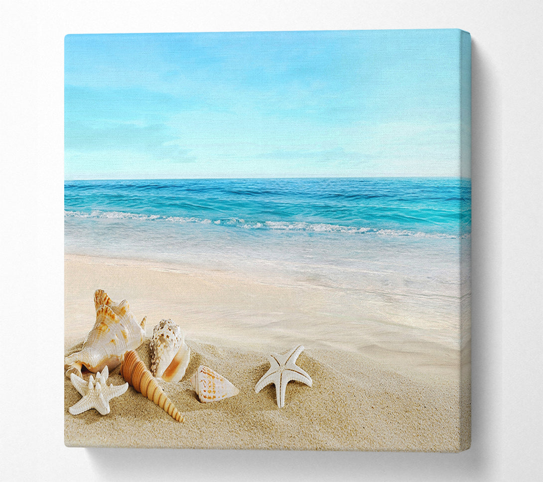  A Canvas Print of Ocean Shells Canvas Wall Art