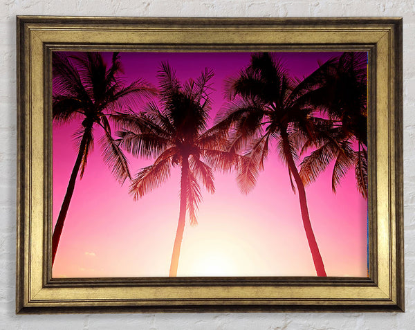 Los Angeles Sunset Palms Framed Print