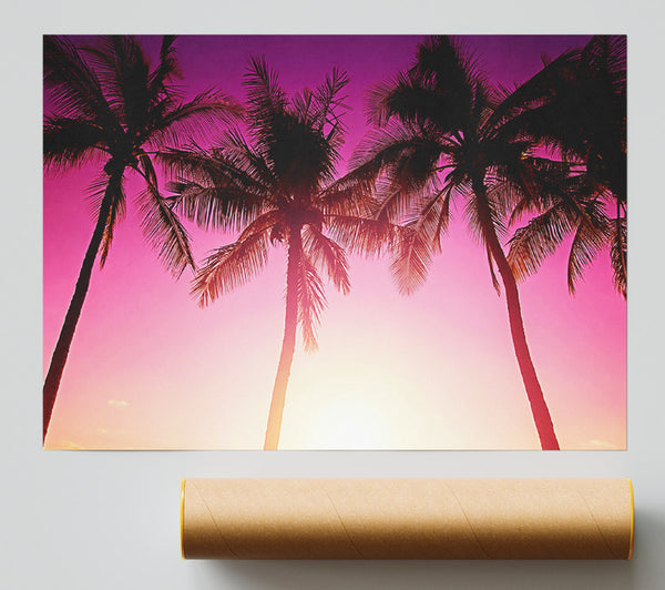 Los Angeles Sunset Palms Giclee Print