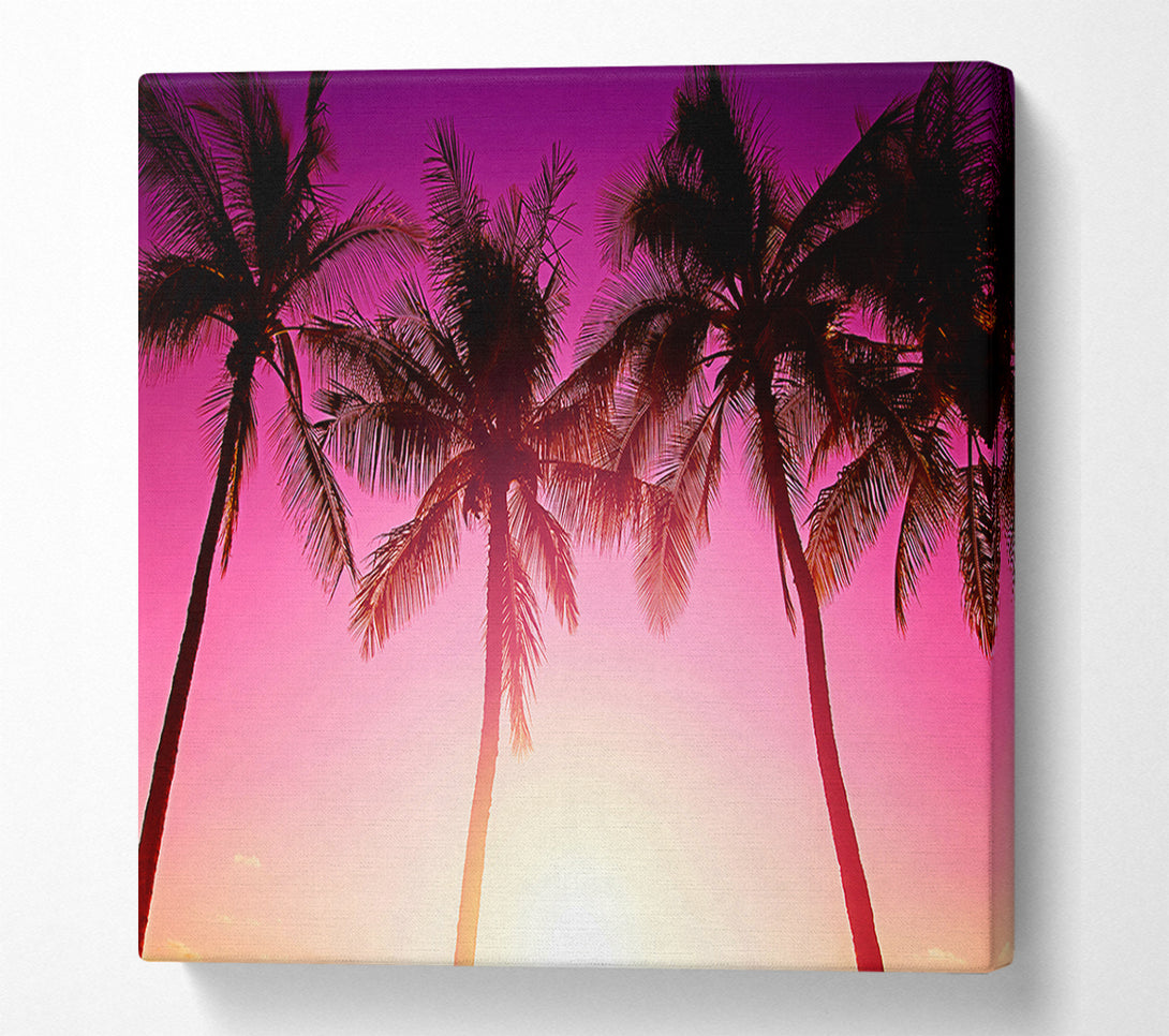  A Canvas Print of Los Angeles Sunset Palms Canvas Wall Art