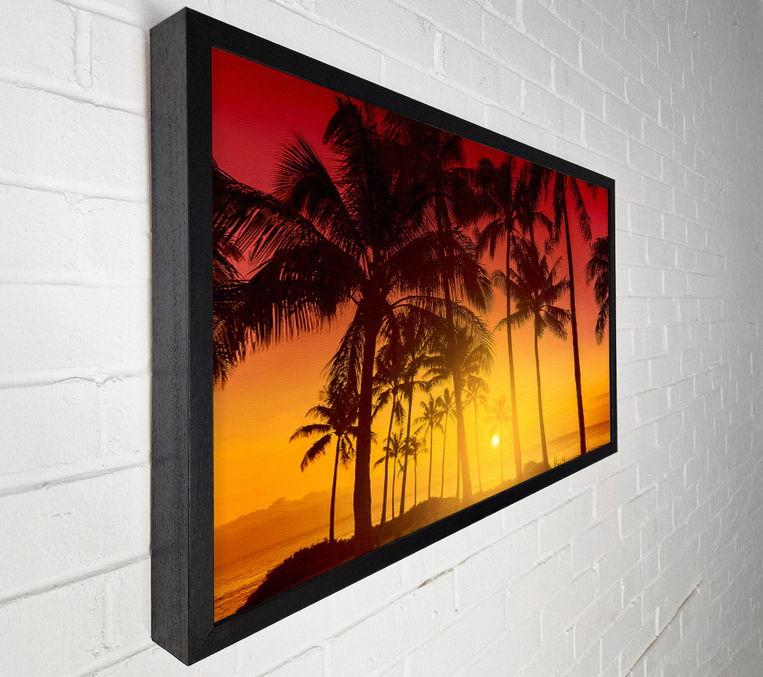  A Canvas Print of Perfect Palm Tree Delight Canvas Wall Art