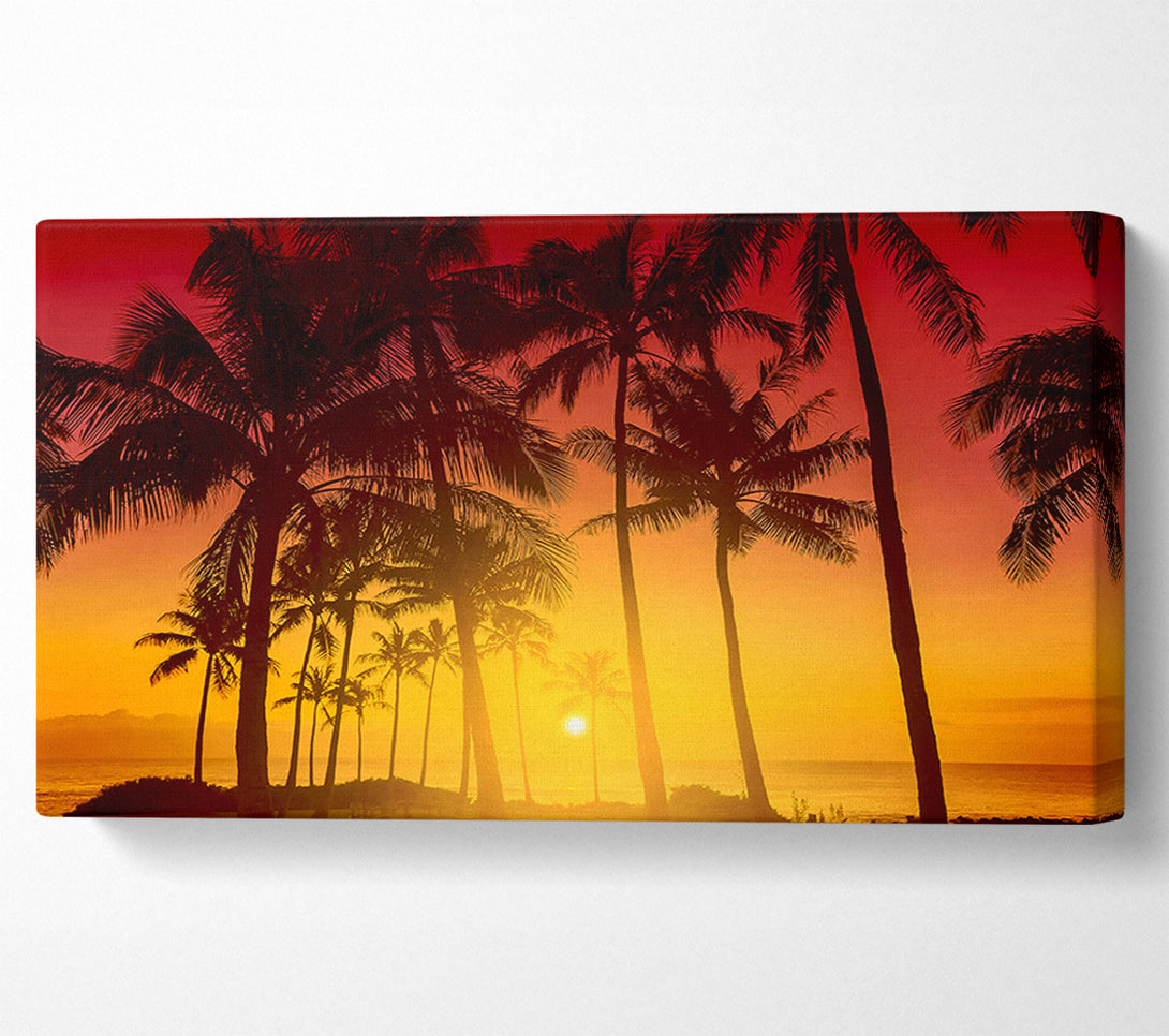  A Canvas Print of Perfect Palm Tree Delight Canvas Wall Art