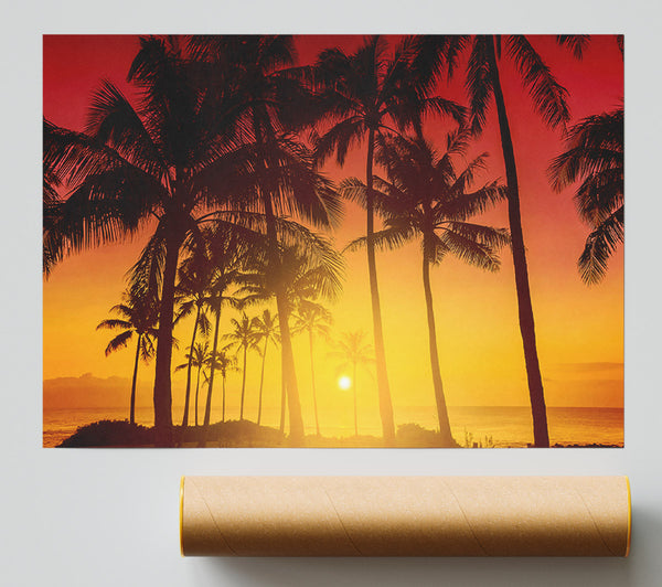 Perfect Palm Tree Delight Poster