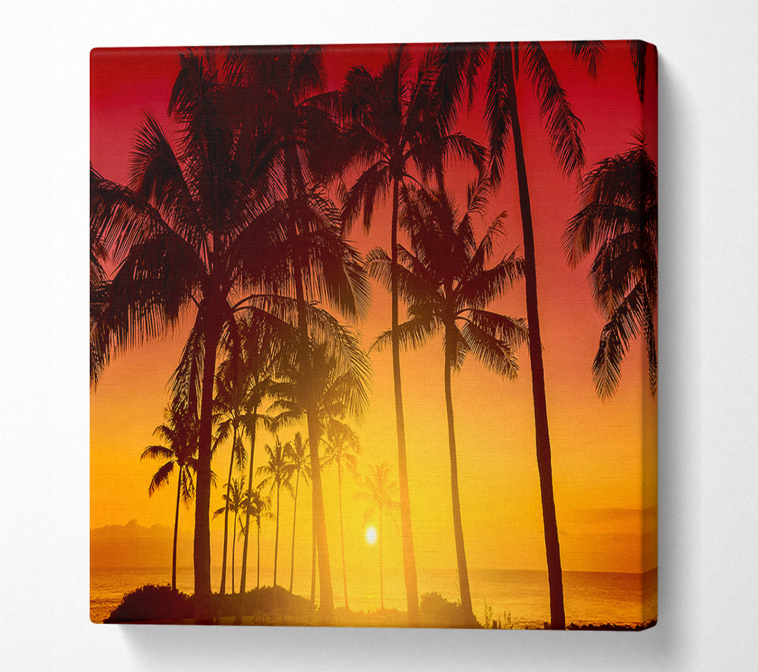  A Canvas Print of Perfect Palm Tree Delight Canvas Wall Art