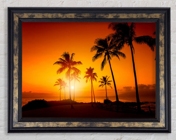California Dreaming Framed Print