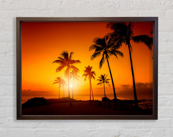 California Dreaming Framed Print