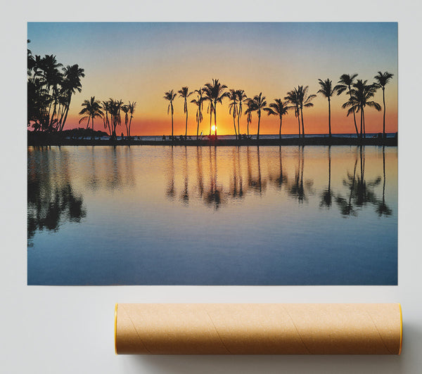 Reflections Of The Palm Trees Giclee Print