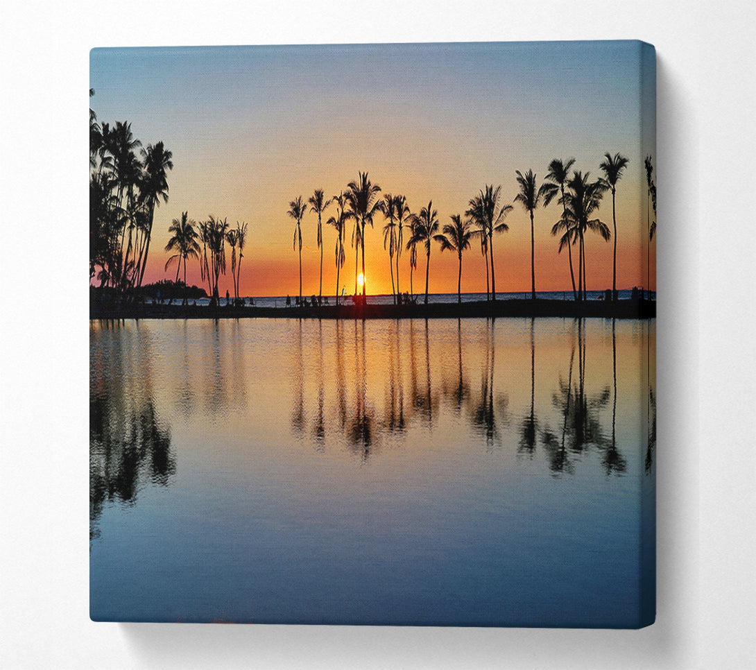  A Canvas Print of Reflections Of The Palm Trees Canvas Wall Art