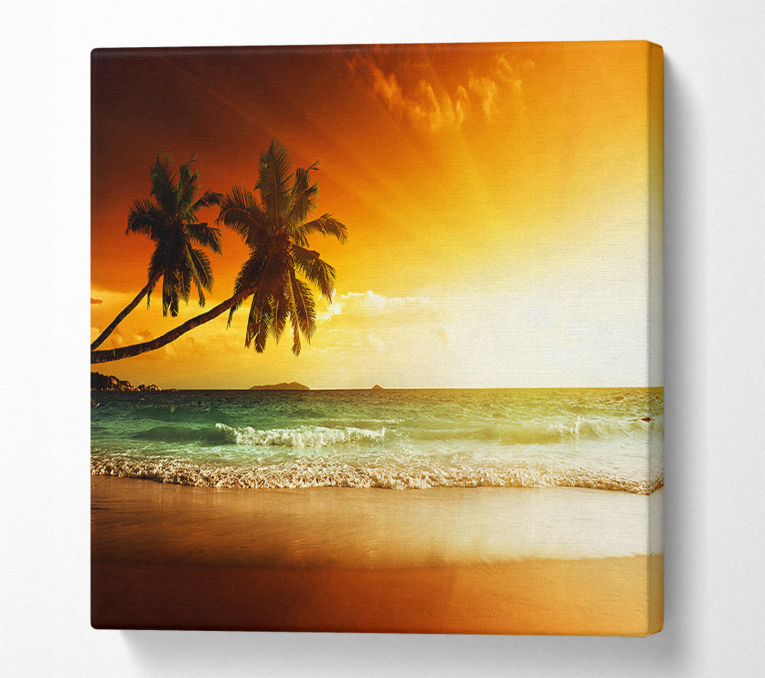  A Canvas Print of Ocean Sun Beam Palms Canvas Print