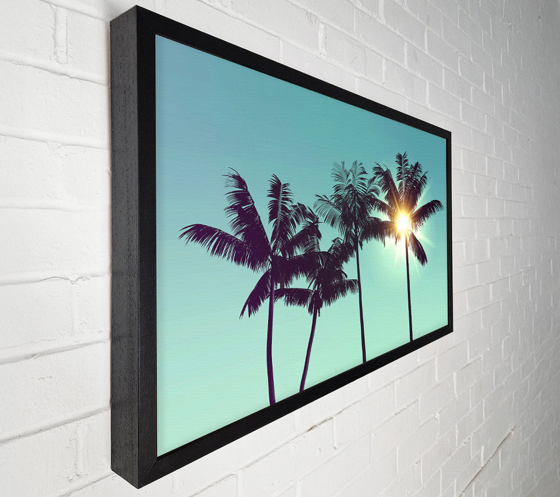  A Canvas Print of Sun Through The Palm Tree Skies Canvas Wall Art