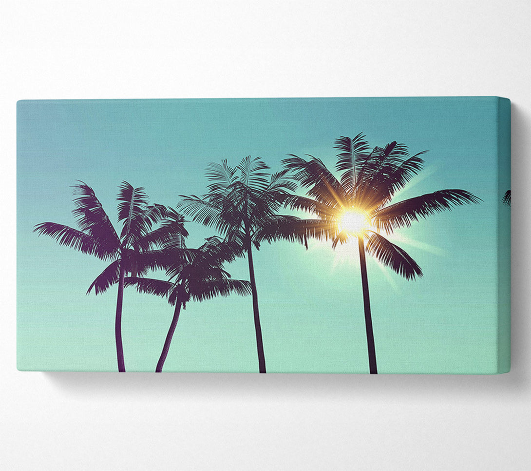  A Canvas Print of Sun Through The Palm Tree Skies Canvas Wall Art