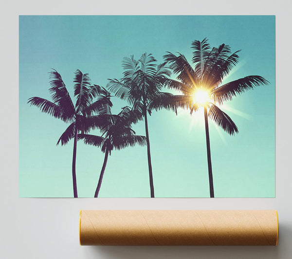 Sun Through The Palm Tree Skies Print