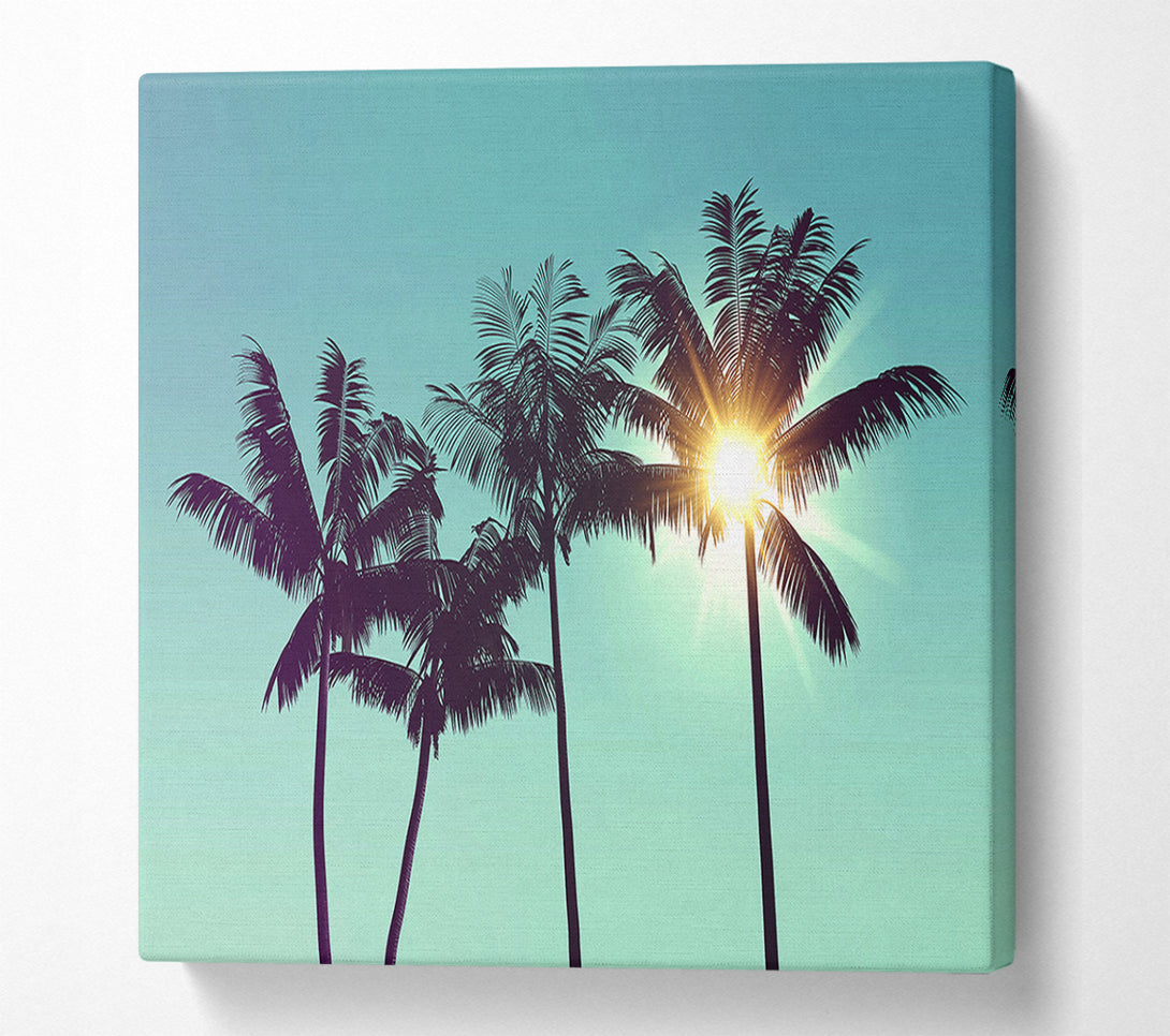  A Canvas Print of Sun Through The Palm Tree Skies Canvas Wall Art
