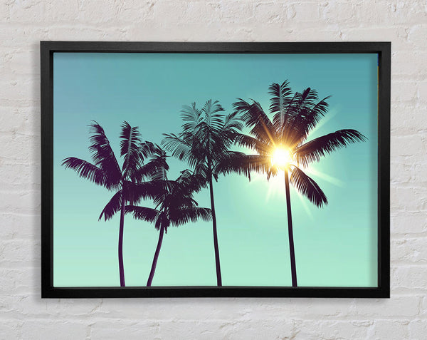 Sun Through The Palm Tree Skies Framed Print