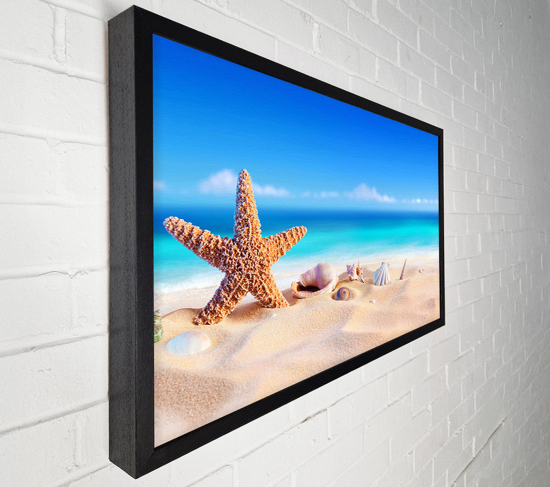  A Canvas Print of Shells In The Ocean Sands Canvas Art