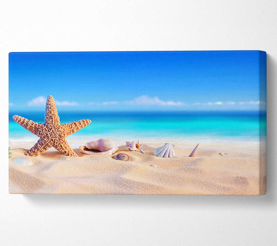  A Canvas Print of Shells In The Ocean Sands Canvas Art