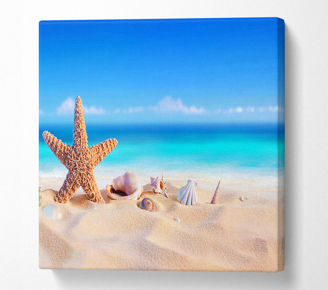  A Canvas Print of Shells In The Ocean Sands Canvas Art