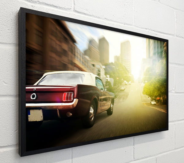 Mustang 16