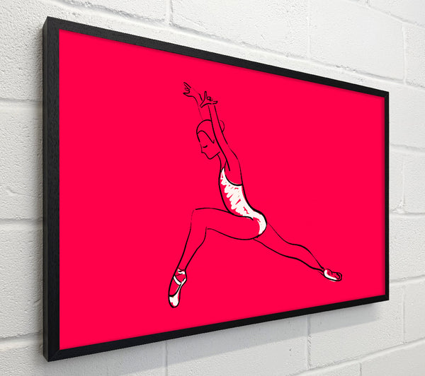 Pink White Ballerina 6