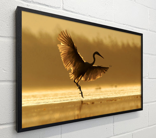 Dancing Sunset Heron