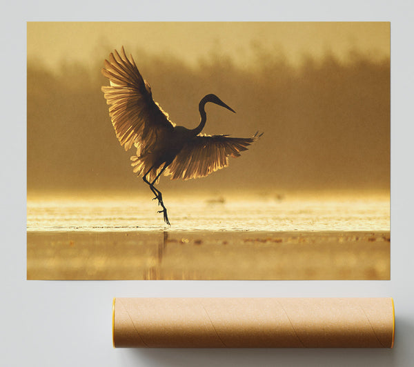 Dancing Sunset Heron Print