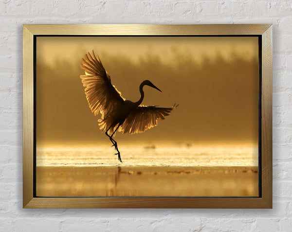 Dancing Sunset Heron Framed Print