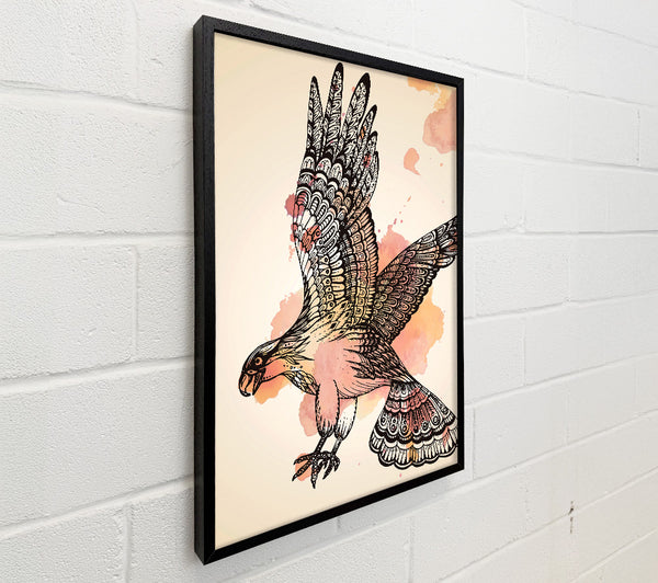 Indian Eagle