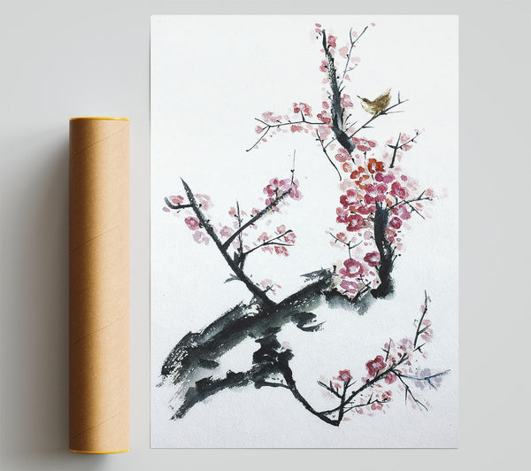 Chinese Cherry Blossom Pink Poster