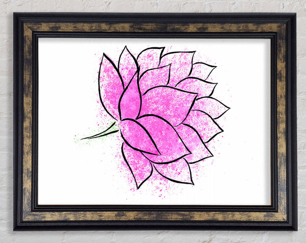 Pink Lotus Flower 1 Framed Print
