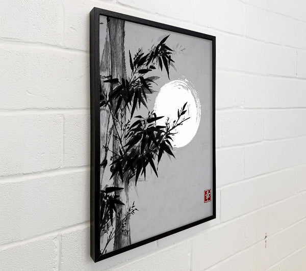 Chinese Bamboo 4