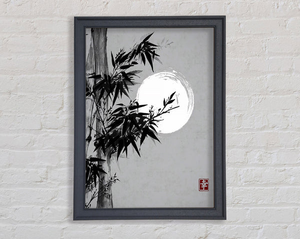 Chinese Bamboo 4 Framed Print