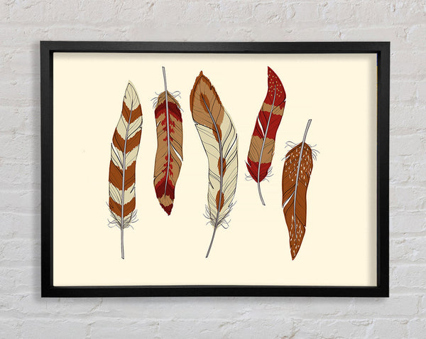 Red Indian Feathers Framed Print