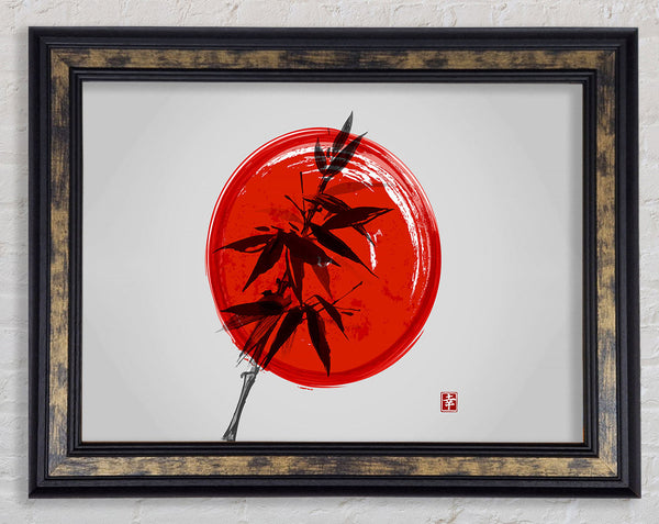 Bamboo Against The red Sun Framed Print