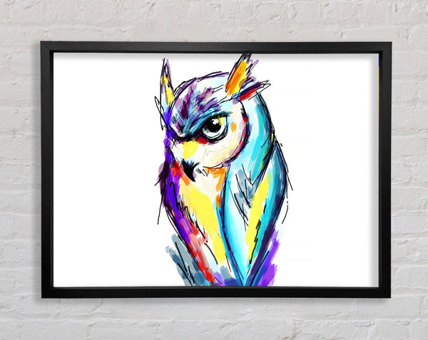 Rainbow Owl Framed Print