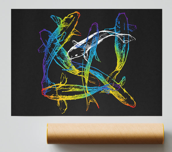 Japanese Rainbow Koi Poster